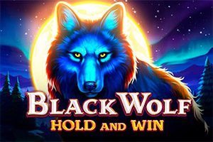 Black Wolf Hold and Win